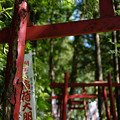 上之台稲荷神社-7892