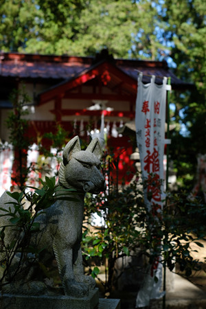 上之台稲荷神社-7907