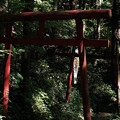 上之台稲荷神社-7919