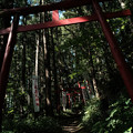上之台稲荷神社-7924