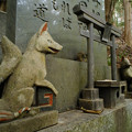 朝日稲荷神社_18石碑の狐-9212