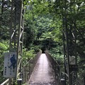 Photos: 奥多摩むかしみち　つり橋