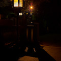 Photos: 夜の神明神社-0147