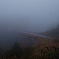 Photos: 霧の橋-1740