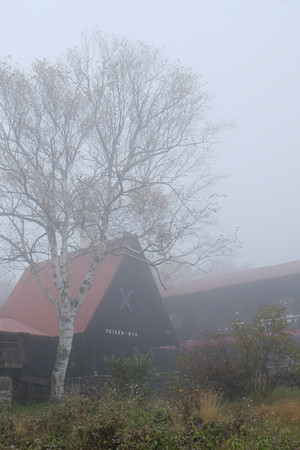 霧の清泉寮-1731