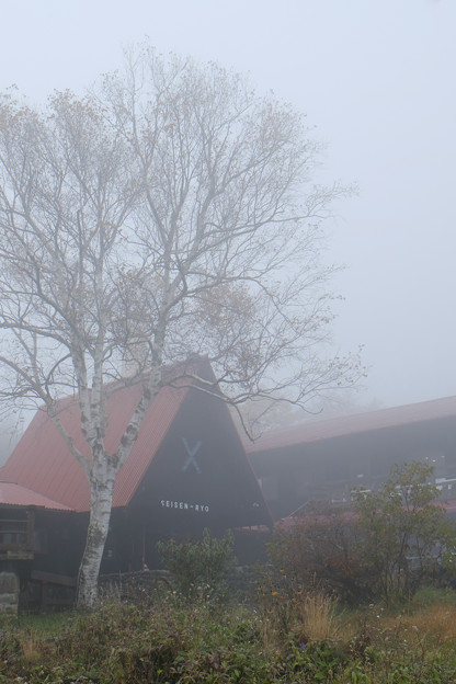 霧の清泉寮-1731