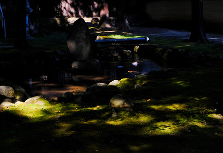 恵林寺 Green Spot-1567