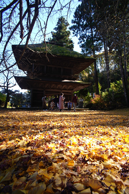 Photos: 広徳寺_山門と銀杏の絨毯-2020