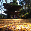 Photos: 広徳寺_山門と銀杏の絨毯-2020
