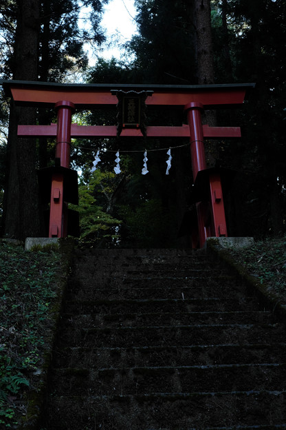 三輪神社-1616