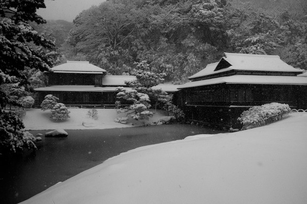 雪の三溪園日本庭園臨春閣 重要文化財指定 照片共享页面 撮影蔵