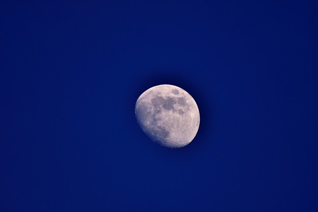 浮島から見えたお月様。。20180624