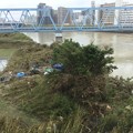先日台風19号の爪跡。。川崎市多摩川河川敷。。荒地に 20191014