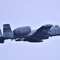 9月の撮って出し。。三沢基地航空祭翌日 オーサンへ帰投 A-10サンダーボルト (2)