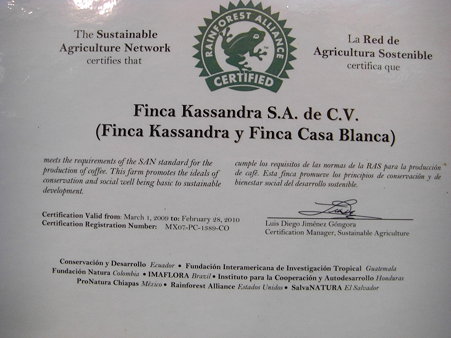 メキシコSHG カサンドラ農園 certification