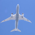 JA824A  ANA   787-8 Dreamliner