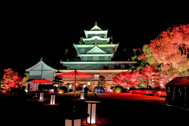 Photos: 岡山城の夜景