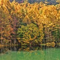 静かな湖畔の秋景色・・・御射鹿池