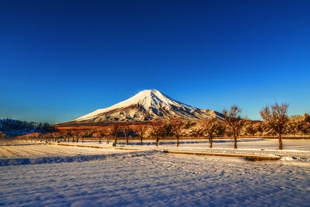 氷点下３℃の風景　～快晴の朝富士～