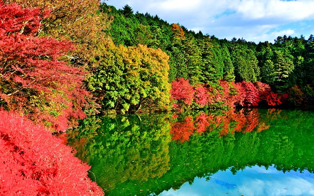 鏡面の秋景2020 ～南伊奈ヶ湖～