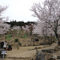 立雲峡　第三展望台の桜