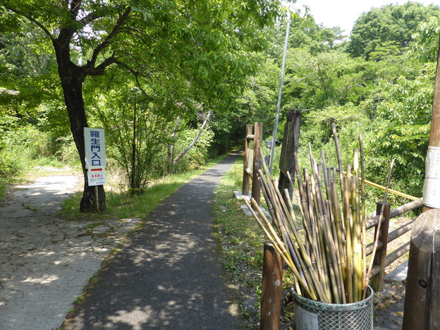 羅生門駐車場からプイハイキング