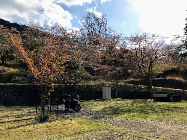 畑ケサカ桜公園