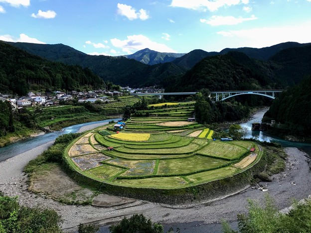 あらぎ島