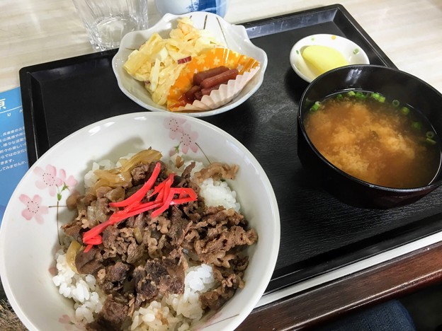 うみがみ元気村のばっこ丼