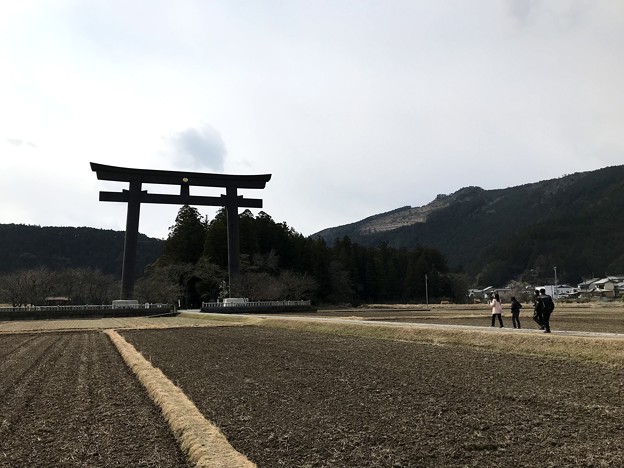 大斎原の大鳥居