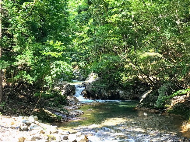 赤西川の清流