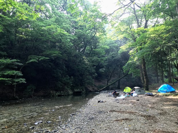 赤西森林広場