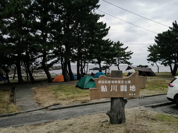 鮎川園地キャンツー