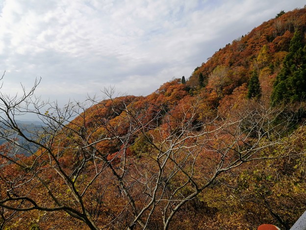 紅葉の河合谷林道