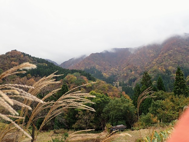 上山高原は雨