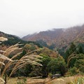 Photos: 上山高原は雨