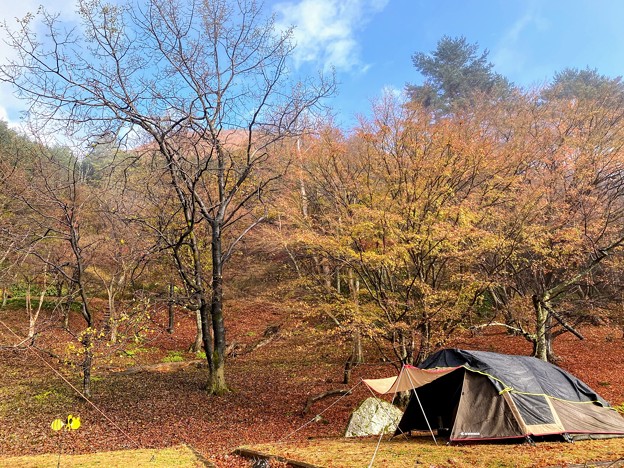 晩秋の紅葉キャンプ