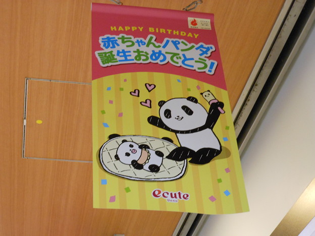 上野駅構内＊パンダの赤ちゃん、誕生おめでとー♪