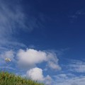 Photos: お～い　空よ雲よ