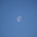 青空に浮かぶ月
