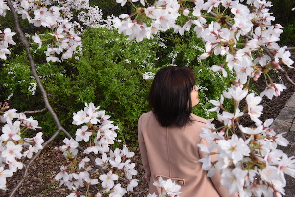 桜の花をフレームにしてリアルスノー！