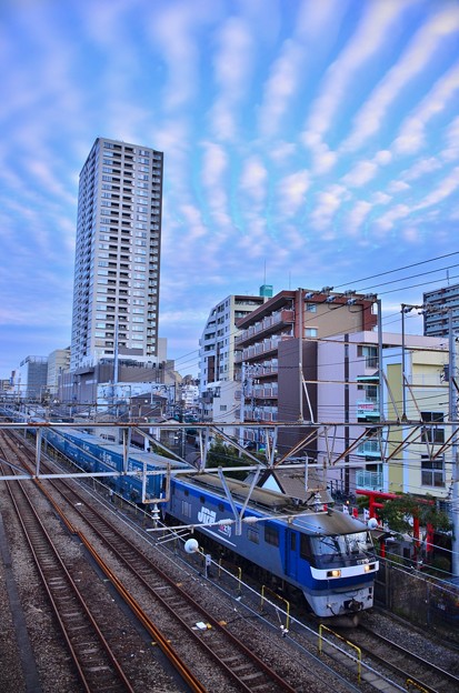 冬の雲 うね雲 写真共有サイト フォト蔵