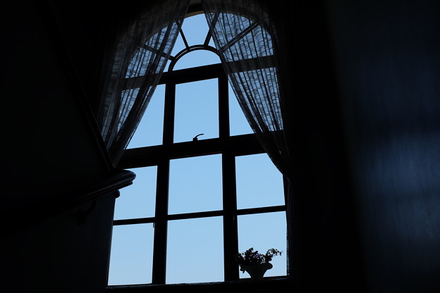 窓と青空