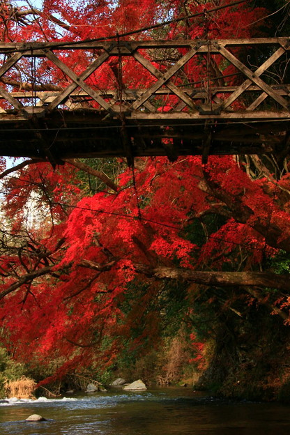 Photos: 560 中里の吊り橋