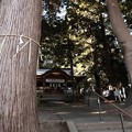 Photos: 865 大山祇神社