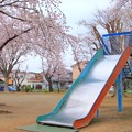 Photos: 263 デカい滑り台 しゅくひがし児童公園