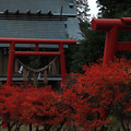 Photos: 698 稲荷山の稲荷神社 会瀬鹿嶋神社