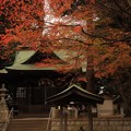 Photos: 745 油縄子の八幡神社