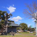Photos: 998 神田町 鹿島神社