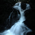 Photos: 195 谷道の滝